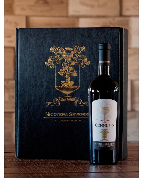 Connubio Vino Rosso Indicazione Geografica Tipica Calabria Greco Nero e Merlot