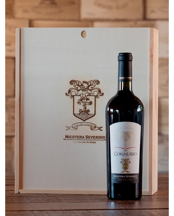 Connubio Vino Rosso Indicazione Geografica Tipica Calabria Greco Nero e Merlot