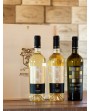 Zibibbo - Kit Degustazione